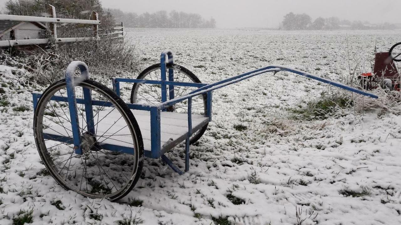 Noord-Hollands Hof Dream Leilighet Spijkerboor Eksteriør bilde